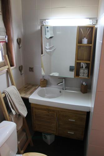 une salle de bain avec un lavabo et un miroir dans l'établissement Appartement Chatel Centre, à Châtel