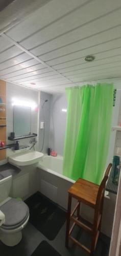 a bathroom with a green shower curtain and a toilet at Sunset Bird Watcher Apartament in Visaginas