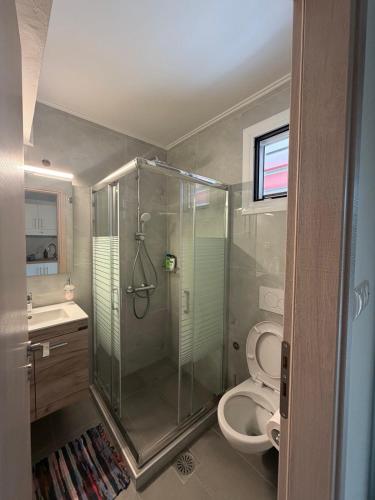 a bathroom with a glass shower and a toilet at Flo's Apartments in Missolonghi