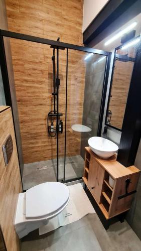 a bathroom with a shower and a toilet and a sink at Dream Apartments 1B KLIMATYZACJA in Oświęcim