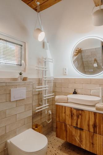 a bathroom with a toilet and a sink and a mirror at Maroska Pine in Kismaros