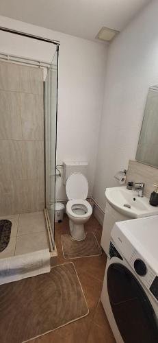 a bathroom with a shower and a toilet and a sink at STUDIO Apartman in Gheorgheni