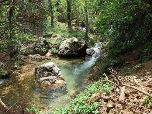 a stream of water with rocks in a forest at Apartamentos entreRíos in Cazorla