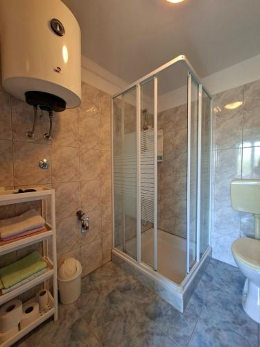 a bathroom with a shower and a sink at Rose Zaglav in Zaglav