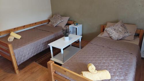 a living room with two beds and a table at Apartman Bogatić 2 in Bogatić
