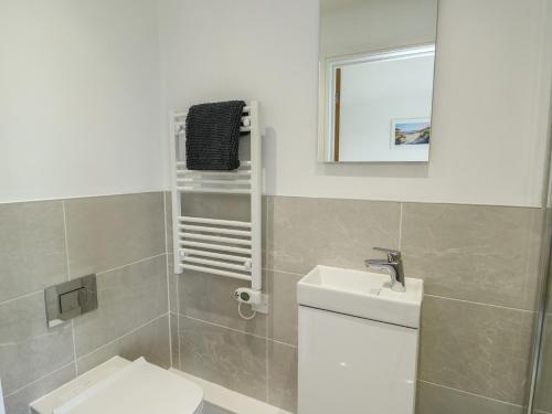 a bathroom with a toilet and a sink and a mirror at Glynllifon 5 in Llanallgo