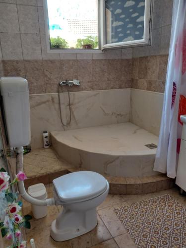 a bathroom with a toilet and a bath tub at Agica apartment in Škaljari