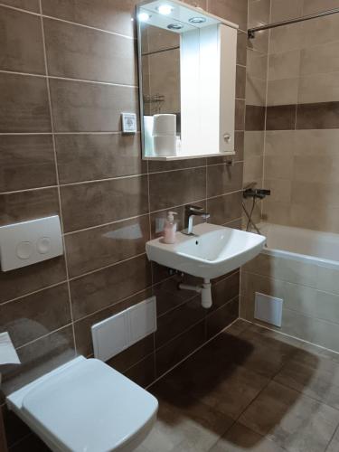 a bathroom with a sink and a toilet and a mirror at Cozy Studio in Târgu-Mureş