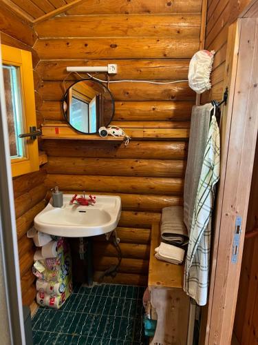 a bathroom with a sink in a log cabin at See Paradies am Keltenberg in Wiesen