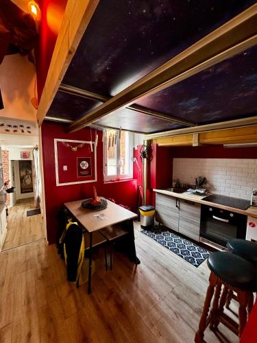 Appartement magique des sorciers , centre historique Dijon