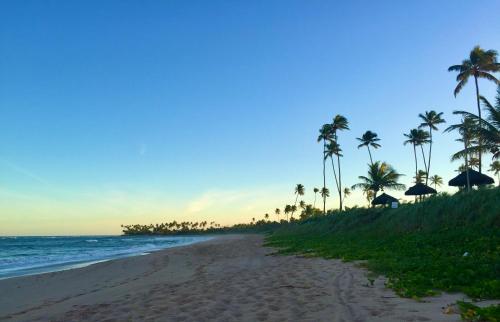 a sandy beach with palm trees and the ocean at Casa Chalé dos Pássaros Guarajuba in Camacari