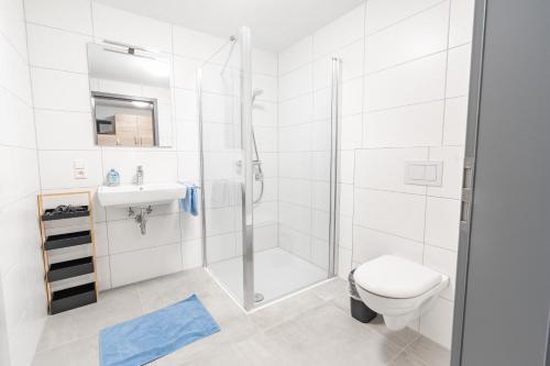 a bathroom with a shower and a toilet and a sink at AN-Living Apartments in Emsbüren