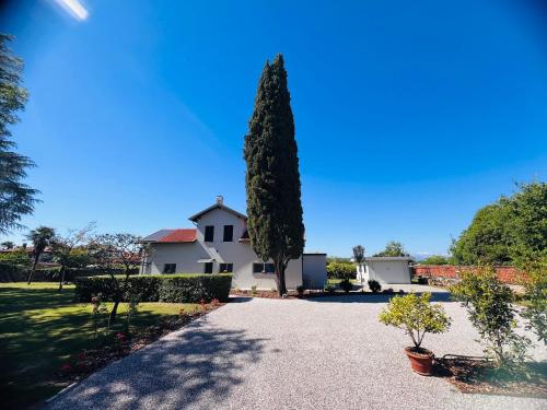 a large tree in front of a white house at Villa Giustina in Romàns dʼIsonzo