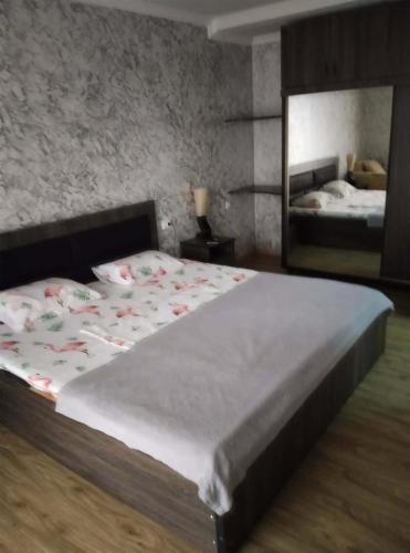 a bedroom with a large bed and a mirror at Hotel Pagio in Chaisubani