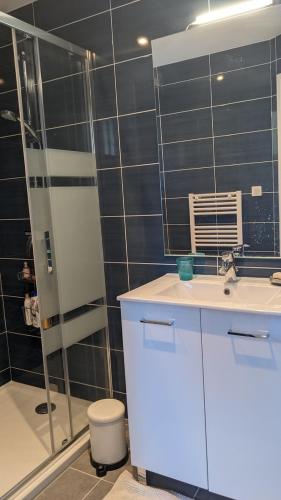 a bathroom with a shower and a sink and a toilet at Gîte de la Pinsonnerie in Fondettes