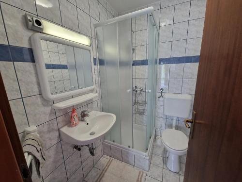 a bathroom with a shower and a sink and a toilet at Apartment Ruzmarin in Šilo