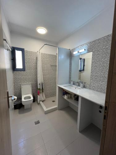 a bathroom with a toilet and a sink and a mirror at Nenes Comfort Apartment in Koroni