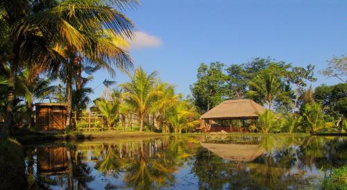 Prashanti Bali, Ubud – Updated 2023 Prices