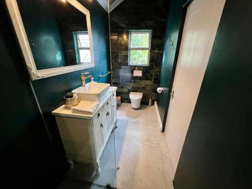 a bathroom with a sink and a toilet in it at Serenity Suite in Somerset West