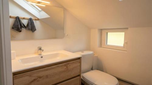 a bathroom with a sink and a toilet and a mirror at Hakuna Matata in Saint-Brieuc