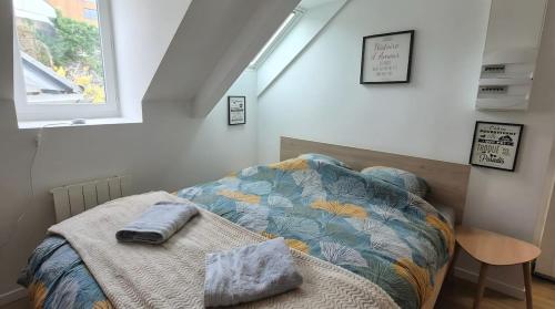 a bedroom with a bed with a blanket and a window at Hakuna Matata in Saint-Brieuc
