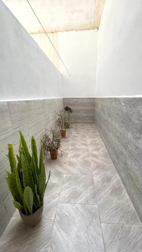 a room with potted plants on a tiled floor at Ain El Turk Beach Apartment in Aïn El Turk