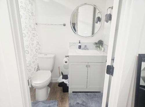 a bathroom with a toilet and a sink and a mirror at Snug 2 bedroom sleeps 5-Netflix in Edmonton