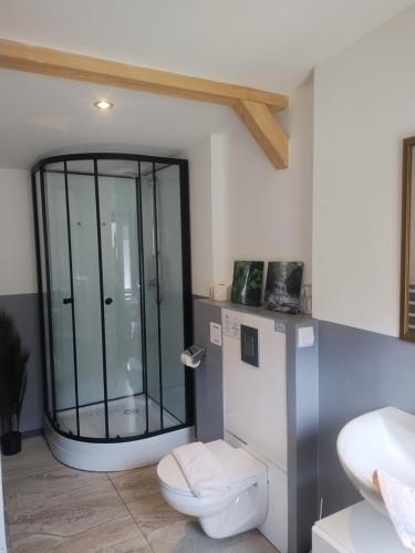 a bathroom with a glass shower and a toilet at Ferienhaus Kolbnitz in Unterkolbnitz