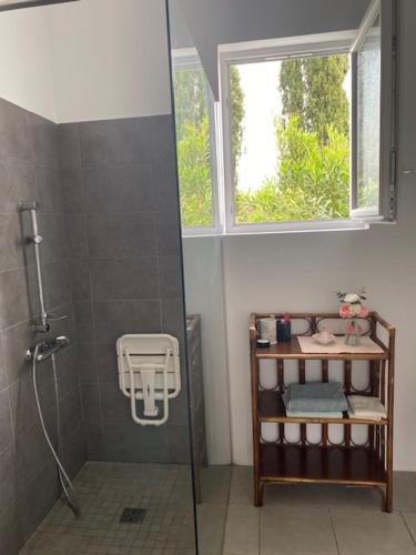 a bathroom with a shower with a window at Le Chêne in Villeneuve