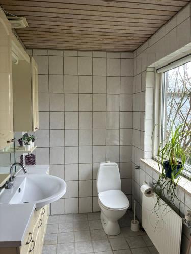 a bathroom with a toilet and a sink and a window at Risskov sommerhus in Risskov