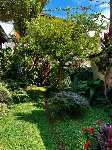 a garden with a tree and many plants at Cantinho Almeida in Tiradentes