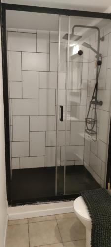 a shower with a glass door in a bathroom at Appartement Saint Sulpice la Pointe in Saint-Sulpice