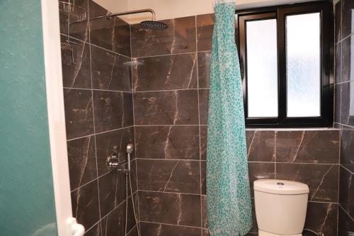 a bathroom with a shower with a toilet and a window at Samuela Cozy Retreat in Berat