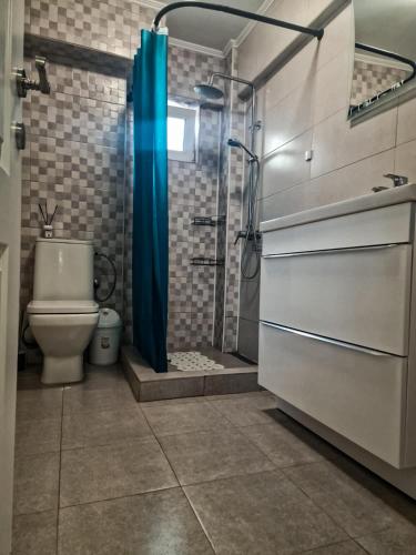 a bathroom with a shower and a toilet at A&C Studio Techirghiol in Techirghiol
