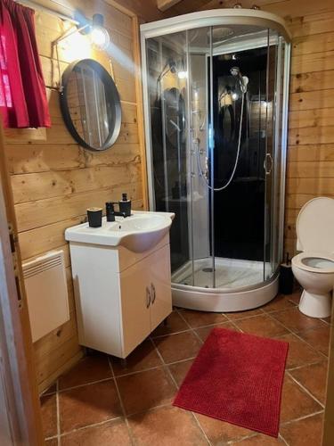 a bathroom with a shower and a sink and a toilet at Apartma Suzy in Pobegi