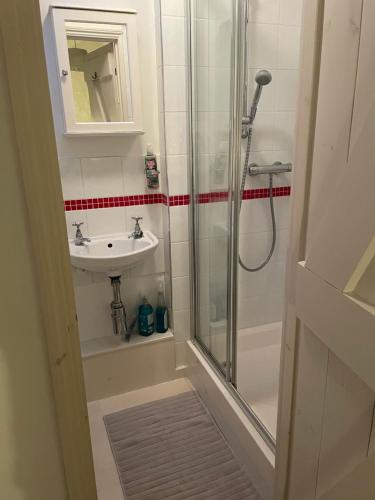 a bathroom with a shower and a sink at Tredrea Annexe - Self Contained Cornish hideaway in Truro