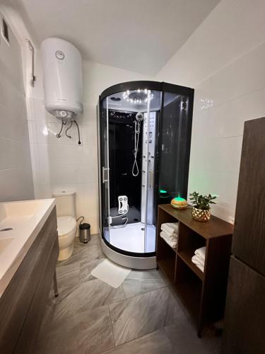 a bathroom with a shower with a toilet and a sink at Rina Apartments, Cozy Riverside Stay in Luče, near Logar Valley in Luče