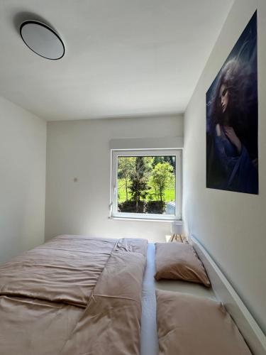 a bedroom with a bed and a window at Rina Apartments, Cozy Riverside Stay in Luče, near Logar Valley in Luče