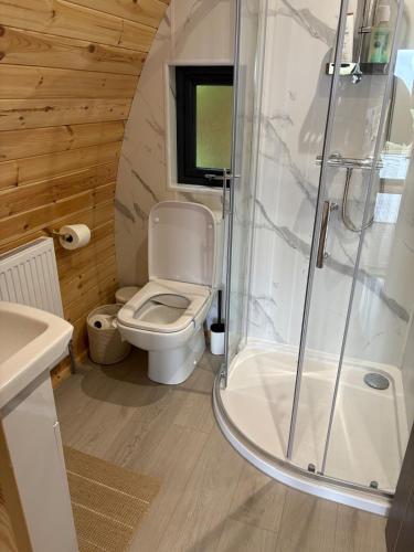 a bathroom with a toilet and a shower at Celtic Glamping in Limerick
