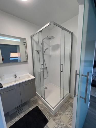 a glass shower in a bathroom with a sink at L'Arsenal Loft in Couvin