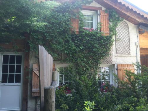 chalet des petits loups