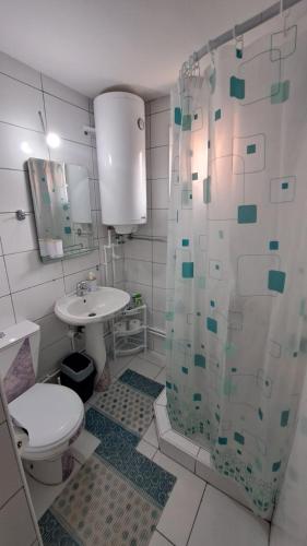 a bathroom with a shower and a toilet and a sink at Kod mosta in Pirot