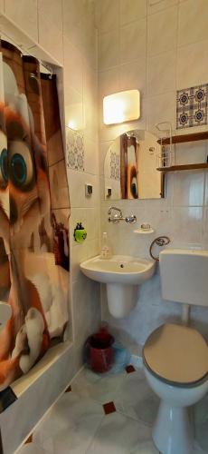 a bathroom with a toilet and a sink at Nova Szymusiowa in Szczyrk