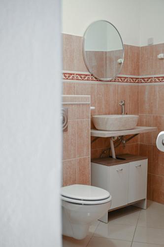 a bathroom with a toilet and a sink and a mirror at Costa apartment with private pool in Preko