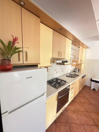 Apartman Kurtov 2