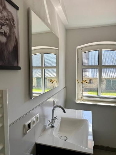 a bathroom with a sink and a mirror at Ferienwohnung 'kommodig' nahe der Eider in Delve