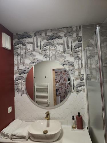 a bathroom with a sink and a mirror at Beautiful cocooning appartement in La Chapelle-sur-Erdre