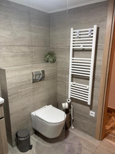 a bathroom with a white toilet in a room at Villa Pano Salamina in Ambelákia
