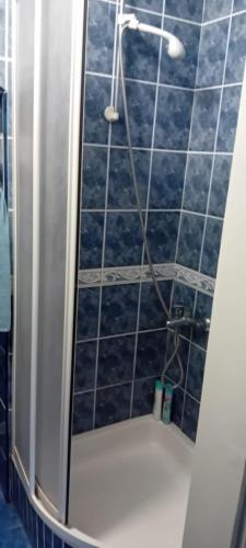 a shower with a glass door in a bathroom at Vila Sofija in Vinci