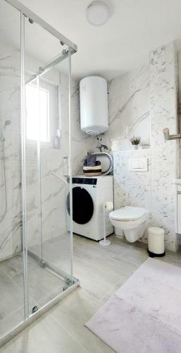 a bathroom with a shower and a toilet at Royal Apartman in Banja Koviljača